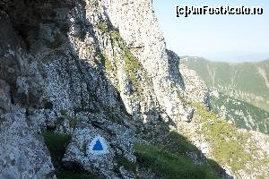 [P10]  -- <small>// FĂRĂ DESCRIERE</small> » foto by CosminZichil
 - 
<span class="allrVoted glyphicon glyphicon-heart hidden" id="av621793"></span>
<a class="m-l-10 hidden" id="sv621793" onclick="voting_Foto_DelVot(,621793,4076)" role="button">șterge vot <span class="glyphicon glyphicon-remove"></span></a>
<a id="v9621793" class=" c-red"  onclick="voting_Foto_SetVot(621793)" role="button"><span class="glyphicon glyphicon-heart-empty"></span> <b>LIKE</b> = Votează poza</a> <img class="hidden"  id="f621793W9" src="/imagini/loader.gif" border="0" /><span class="AjErrMes hidden" id="e621793ErM"></span>