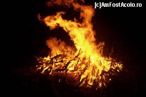 [P03]  -- <small>// FĂRĂ DESCRIERE</small> » foto by CosminZichil
 - 
<span class="allrVoted glyphicon glyphicon-heart hidden" id="av621786"></span>
<a class="m-l-10 hidden" id="sv621786" onclick="voting_Foto_DelVot(,621786,4076)" role="button">șterge vot <span class="glyphicon glyphicon-remove"></span></a>
<a id="v9621786" class=" c-red"  onclick="voting_Foto_SetVot(621786)" role="button"><span class="glyphicon glyphicon-heart-empty"></span> <b>LIKE</b> = Votează poza</a> <img class="hidden"  id="f621786W9" src="/imagini/loader.gif" border="0" /><span class="AjErrMes hidden" id="e621786ErM"></span>