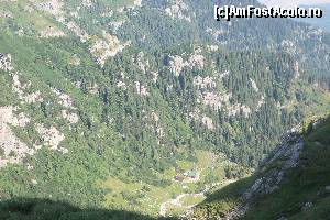 [P08]  -- <small>// FĂRĂ DESCRIERE</small> » foto by CosminZichil
 - 
<span class="allrVoted glyphicon glyphicon-heart hidden" id="av621791"></span>
<a class="m-l-10 hidden" id="sv621791" onclick="voting_Foto_DelVot(,621791,4076)" role="button">șterge vot <span class="glyphicon glyphicon-remove"></span></a>
<a id="v9621791" class=" c-red"  onclick="voting_Foto_SetVot(621791)" role="button"><span class="glyphicon glyphicon-heart-empty"></span> <b>LIKE</b> = Votează poza</a> <img class="hidden"  id="f621791W9" src="/imagini/loader.gif" border="0" /><span class="AjErrMes hidden" id="e621791ErM"></span>