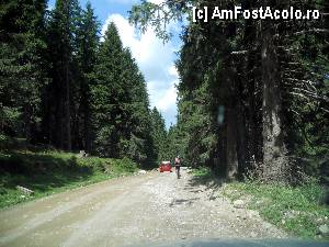 [P08] Drumul 'negru' spre Padina si Pestera » foto by pepsi70ro
 - 
<span class="allrVoted glyphicon glyphicon-heart hidden" id="av350439"></span>
<a class="m-l-10 hidden" id="sv350439" onclick="voting_Foto_DelVot(,350439,4076)" role="button">șterge vot <span class="glyphicon glyphicon-remove"></span></a>
<a id="v9350439" class=" c-red"  onclick="voting_Foto_SetVot(350439)" role="button"><span class="glyphicon glyphicon-heart-empty"></span> <b>LIKE</b> = Votează poza</a> <img class="hidden"  id="f350439W9" src="/imagini/loader.gif" border="0" /><span class="AjErrMes hidden" id="e350439ErM"></span>