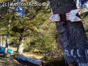 [P19] Pe forestier, spre Diham - la răscruce de drumuri - așa arată zona acum » foto by danaeldreny*
 - 
<span class="allrVoted glyphicon glyphicon-heart hidden" id="av921883"></span>
<a class="m-l-10 hidden" id="sv921883" onclick="voting_Foto_DelVot(,921883,4076)" role="button">șterge vot <span class="glyphicon glyphicon-remove"></span></a>
<a id="v9921883" class=" c-red"  onclick="voting_Foto_SetVot(921883)" role="button"><span class="glyphicon glyphicon-heart-empty"></span> <b>LIKE</b> = Votează poza</a> <img class="hidden"  id="f921883W9" src="/imagini/loader.gif" border="0" /><span class="AjErrMes hidden" id="e921883ErM"></span>