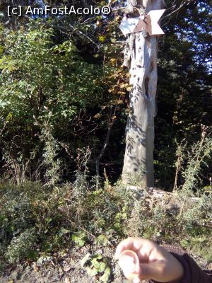 [P22] Pe forestier, spre Diham - la răscruce de drumuri - acum » foto by danaeldreny*
 - 
<span class="allrVoted glyphicon glyphicon-heart hidden" id="av921886"></span>
<a class="m-l-10 hidden" id="sv921886" onclick="voting_Foto_DelVot(,921886,4076)" role="button">șterge vot <span class="glyphicon glyphicon-remove"></span></a>
<a id="v9921886" class=" c-red"  onclick="voting_Foto_SetVot(921886)" role="button"><span class="glyphicon glyphicon-heart-empty"></span> <b>LIKE</b> = Votează poza</a> <img class="hidden"  id="f921886W9" src="/imagini/loader.gif" border="0" /><span class="AjErrMes hidden" id="e921886ErM"></span>