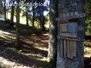 [P32] Pe forestier, spre Diham - înainte de Steaua Munților » foto by danaeldreny*
 - 
<span class="allrVoted glyphicon glyphicon-heart hidden" id="av921896"></span>
<a class="m-l-10 hidden" id="sv921896" onclick="voting_Foto_DelVot(,921896,4076)" role="button">șterge vot <span class="glyphicon glyphicon-remove"></span></a>
<a id="v9921896" class=" c-red"  onclick="voting_Foto_SetVot(921896)" role="button"><span class="glyphicon glyphicon-heart-empty"></span> <b>LIKE</b> = Votează poza</a> <img class="hidden"  id="f921896W9" src="/imagini/loader.gif" border="0" /><span class="AjErrMes hidden" id="e921896ErM"></span>