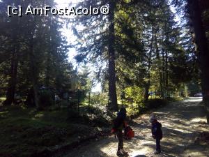 [P33] Pe forestier, spre Diham - înainte de Steaua Munților » foto by danaeldreny*
 - 
<span class="allrVoted glyphicon glyphicon-heart hidden" id="av921897"></span>
<a class="m-l-10 hidden" id="sv921897" onclick="voting_Foto_DelVot(,921897,4076)" role="button">șterge vot <span class="glyphicon glyphicon-remove"></span></a>
<a id="v9921897" class=" c-red"  onclick="voting_Foto_SetVot(921897)" role="button"><span class="glyphicon glyphicon-heart-empty"></span> <b>LIKE</b> = Votează poza</a> <img class="hidden"  id="f921897W9" src="/imagini/loader.gif" border="0" /><span class="AjErrMes hidden" id="e921897ErM"></span>