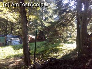 [P34] Pe forestier, spre Diham - înainte de Steaua Munților » foto by danaeldreny*
 - 
<span class="allrVoted glyphicon glyphicon-heart hidden" id="av921898"></span>
<a class="m-l-10 hidden" id="sv921898" onclick="voting_Foto_DelVot(,921898,4076)" role="button">șterge vot <span class="glyphicon glyphicon-remove"></span></a>
<a id="v9921898" class=" c-red"  onclick="voting_Foto_SetVot(921898)" role="button"><span class="glyphicon glyphicon-heart-empty"></span> <b>LIKE</b> = Votează poza</a> <img class="hidden"  id="f921898W9" src="/imagini/loader.gif" border="0" /><span class="AjErrMes hidden" id="e921898ErM"></span>