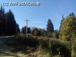 [P35] Pe forestier, spre Diham - înainte de Steaua Munților » foto by danaeldreny*
 - 
<span class="allrVoted glyphicon glyphicon-heart hidden" id="av921899"></span>
<a class="m-l-10 hidden" id="sv921899" onclick="voting_Foto_DelVot(,921899,4076)" role="button">șterge vot <span class="glyphicon glyphicon-remove"></span></a>
<a id="v9921899" class=" c-red"  onclick="voting_Foto_SetVot(921899)" role="button"><span class="glyphicon glyphicon-heart-empty"></span> <b>LIKE</b> = Votează poza</a> <img class="hidden"  id="f921899W9" src="/imagini/loader.gif" border="0" /><span class="AjErrMes hidden" id="e921899ErM"></span>