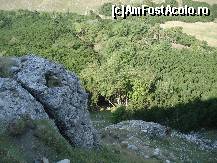 [P12]  -- <small>// FĂRĂ DESCRIERE</small> » foto by gregorio
 - 
<span class="allrVoted glyphicon glyphicon-heart hidden" id="av452648"></span>
<a class="m-l-10 hidden" id="sv452648" onclick="voting_Foto_DelVot(,452648,4076)" role="button">șterge vot <span class="glyphicon glyphicon-remove"></span></a>
<a id="v9452648" class=" c-red"  onclick="voting_Foto_SetVot(452648)" role="button"><span class="glyphicon glyphicon-heart-empty"></span> <b>LIKE</b> = Votează poza</a> <img class="hidden"  id="f452648W9" src="/imagini/loader.gif" border="0" /><span class="AjErrMes hidden" id="e452648ErM"></span>