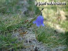 [P13]  -- <small>// FĂRĂ DESCRIERE</small> » foto by gregorio
 - 
<span class="allrVoted glyphicon glyphicon-heart hidden" id="av452652"></span>
<a class="m-l-10 hidden" id="sv452652" onclick="voting_Foto_DelVot(,452652,4076)" role="button">șterge vot <span class="glyphicon glyphicon-remove"></span></a>
<a id="v9452652" class=" c-red"  onclick="voting_Foto_SetVot(452652)" role="button"><span class="glyphicon glyphicon-heart-empty"></span> <b>LIKE</b> = Votează poza</a> <img class="hidden"  id="f452652W9" src="/imagini/loader.gif" border="0" /><span class="AjErrMes hidden" id="e452652ErM"></span>