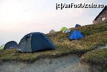 [P38] Vecinii...  » foto by gregorio
 - 
<span class="allrVoted glyphicon glyphicon-heart hidden" id="av452713"></span>
<a class="m-l-10 hidden" id="sv452713" onclick="voting_Foto_DelVot(,452713,4076)" role="button">șterge vot <span class="glyphicon glyphicon-remove"></span></a>
<a id="v9452713" class=" c-red"  onclick="voting_Foto_SetVot(452713)" role="button"><span class="glyphicon glyphicon-heart-empty"></span> <b>LIKE</b> = Votează poza</a> <img class="hidden"  id="f452713W9" src="/imagini/loader.gif" border="0" /><span class="AjErrMes hidden" id="e452713ErM"></span>