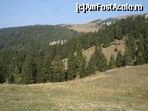 [P04] Traseu » foto by gregorio
 - 
<span class="allrVoted glyphicon glyphicon-heart hidden" id="av452571"></span>
<a class="m-l-10 hidden" id="sv452571" onclick="voting_Foto_DelVot(,452571,4076)" role="button">șterge vot <span class="glyphicon glyphicon-remove"></span></a>
<a id="v9452571" class=" c-red"  onclick="voting_Foto_SetVot(452571)" role="button"><span class="glyphicon glyphicon-heart-empty"></span> <b>LIKE</b> = Votează poza</a> <img class="hidden"  id="f452571W9" src="/imagini/loader.gif" border="0" /><span class="AjErrMes hidden" id="e452571ErM"></span>