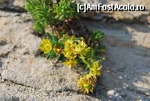 [P53]  -- <small>// FĂRĂ DESCRIERE</small> » foto by gregorio
 - 
<span class="allrVoted glyphicon glyphicon-heart hidden" id="av452732"></span>
<a class="m-l-10 hidden" id="sv452732" onclick="voting_Foto_DelVot(,452732,4076)" role="button">șterge vot <span class="glyphicon glyphicon-remove"></span></a>
<a id="v9452732" class=" c-red"  onclick="voting_Foto_SetVot(452732)" role="button"><span class="glyphicon glyphicon-heart-empty"></span> <b>LIKE</b> = Votează poza</a> <img class="hidden"  id="f452732W9" src="/imagini/loader.gif" border="0" /><span class="AjErrMes hidden" id="e452732ErM"></span>