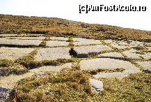 [P55]  -- <small>// FĂRĂ DESCRIERE</small> » foto by gregorio
 - 
<span class="allrVoted glyphicon glyphicon-heart hidden" id="av452739"></span>
<a class="m-l-10 hidden" id="sv452739" onclick="voting_Foto_DelVot(,452739,4076)" role="button">șterge vot <span class="glyphicon glyphicon-remove"></span></a>
<a id="v9452739" class=" c-red"  onclick="voting_Foto_SetVot(452739)" role="button"><span class="glyphicon glyphicon-heart-empty"></span> <b>LIKE</b> = Votează poza</a> <img class="hidden"  id="f452739W9" src="/imagini/loader.gif" border="0" /><span class="AjErrMes hidden" id="e452739ErM"></span>