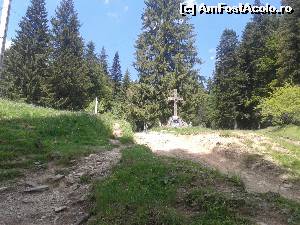 [P05] Crucea de la intrare » foto by mugur007
 - 
<span class="allrVoted glyphicon glyphicon-heart hidden" id="av625243"></span>
<a class="m-l-10 hidden" id="sv625243" onclick="voting_Foto_DelVot(,625243,4076)" role="button">șterge vot <span class="glyphicon glyphicon-remove"></span></a>
<a id="v9625243" class=" c-red"  onclick="voting_Foto_SetVot(625243)" role="button"><span class="glyphicon glyphicon-heart-empty"></span> <b>LIKE</b> = Votează poza</a> <img class="hidden"  id="f625243W9" src="/imagini/loader.gif" border="0" /><span class="AjErrMes hidden" id="e625243ErM"></span>