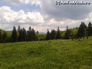 [P07] Am ajuns in luminis » foto by mugur007
 - 
<span class="allrVoted glyphicon glyphicon-heart hidden" id="av625245"></span>
<a class="m-l-10 hidden" id="sv625245" onclick="voting_Foto_DelVot(,625245,4076)" role="button">șterge vot <span class="glyphicon glyphicon-remove"></span></a>
<a id="v9625245" class=" c-red"  onclick="voting_Foto_SetVot(625245)" role="button"><span class="glyphicon glyphicon-heart-empty"></span> <b>LIKE</b> = Votează poza</a> <img class="hidden"  id="f625245W9" src="/imagini/loader.gif" border="0" /><span class="AjErrMes hidden" id="e625245ErM"></span>