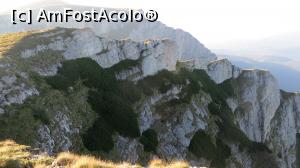 [P40] Vegetatia de pe stancile golase ale Caraimanului » foto by Alexa_77
 - 
<span class="allrVoted glyphicon glyphicon-heart hidden" id="av796409"></span>
<a class="m-l-10 hidden" id="sv796409" onclick="voting_Foto_DelVot(,796409,4076)" role="button">șterge vot <span class="glyphicon glyphicon-remove"></span></a>
<a id="v9796409" class=" c-red"  onclick="voting_Foto_SetVot(796409)" role="button"><span class="glyphicon glyphicon-heart-empty"></span> <b>LIKE</b> = Votează poza</a> <img class="hidden"  id="f796409W9" src="/imagini/loader.gif" border="0" /><span class="AjErrMes hidden" id="e796409ErM"></span>