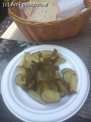 [P04] Șincai 46, Sector 4, București » foto by Mioritik
 - 
<span class="allrVoted glyphicon glyphicon-heart hidden" id="av1249301"></span>
<a class="m-l-10 hidden" id="sv1249301" onclick="voting_Foto_DelVot(,1249301,4083)" role="button">șterge vot <span class="glyphicon glyphicon-remove"></span></a>
<a id="v91249301" class=" c-red"  onclick="voting_Foto_SetVot(1249301)" role="button"><span class="glyphicon glyphicon-heart-empty"></span> <b>LIKE</b> = Votează poza</a> <img class="hidden"  id="f1249301W9" src="/imagini/loader.gif" border="0" /><span class="AjErrMes hidden" id="e1249301ErM"></span>