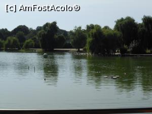[P16] Cafeneaua Actorilor - Parcul Tineretului. Vedere de pe terasă. » foto by iulianic
 - 
<span class="allrVoted glyphicon glyphicon-heart hidden" id="av1234704"></span>
<a class="m-l-10 hidden" id="sv1234704" onclick="voting_Foto_DelVot(,1234704,4083)" role="button">șterge vot <span class="glyphicon glyphicon-remove"></span></a>
<a id="v91234704" class=" c-red"  onclick="voting_Foto_SetVot(1234704)" role="button"><span class="glyphicon glyphicon-heart-empty"></span> <b>LIKE</b> = Votează poza</a> <img class="hidden"  id="f1234704W9" src="/imagini/loader.gif" border="0" /><span class="AjErrMes hidden" id="e1234704ErM"></span>