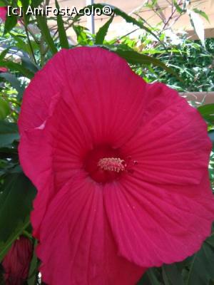 [P26] Pentru voi. Cu drag, Zoazore.  » foto by Zoazore
 - 
<span class="allrVoted glyphicon glyphicon-heart hidden" id="av997156"></span>
<a class="m-l-10 hidden" id="sv997156" onclick="voting_Foto_DelVot(,997156,4083)" role="button">șterge vot <span class="glyphicon glyphicon-remove"></span></a>
<a id="v9997156" class=" c-red"  onclick="voting_Foto_SetVot(997156)" role="button"><span class="glyphicon glyphicon-heart-empty"></span> <b>LIKE</b> = Votează poza</a> <img class="hidden"  id="f997156W9" src="/imagini/loader.gif" border="0" /><span class="AjErrMes hidden" id="e997156ErM"></span>