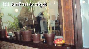 [P06] Pervazul dinspre cuptorul de pizza,  » foto by Aurici
 - 
<span class="allrVoted glyphicon glyphicon-heart hidden" id="av720840"></span>
<a class="m-l-10 hidden" id="sv720840" onclick="voting_Foto_DelVot(,720840,4083)" role="button">șterge vot <span class="glyphicon glyphicon-remove"></span></a>
<a id="v9720840" class=" c-red"  onclick="voting_Foto_SetVot(720840)" role="button"><span class="glyphicon glyphicon-heart-empty"></span> <b>LIKE</b> = Votează poza</a> <img class="hidden"  id="f720840W9" src="/imagini/loader.gif" border="0" /><span class="AjErrMes hidden" id="e720840ErM"></span>