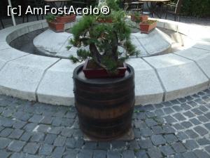 [P24] Casa Oamenilor de Stiinta - si un mic bonsai » foto by mishu
 - 
<span class="allrVoted glyphicon glyphicon-heart hidden" id="av791955"></span>
<a class="m-l-10 hidden" id="sv791955" onclick="voting_Foto_DelVot(,791955,4083)" role="button">șterge vot <span class="glyphicon glyphicon-remove"></span></a>
<a id="v9791955" class=" c-red"  onclick="voting_Foto_SetVot(791955)" role="button"><span class="glyphicon glyphicon-heart-empty"></span> <b>LIKE</b> = Votează poza</a> <img class="hidden"  id="f791955W9" src="/imagini/loader.gif" border="0" /><span class="AjErrMes hidden" id="e791955ErM"></span>