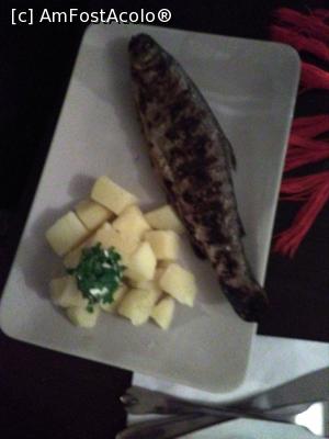 [P32] Restaurantul La Protap - pastravul la gratar cu garnitura de cartofi natur.  » foto by Carmen Ion
 - 
<span class="allrVoted glyphicon glyphicon-heart hidden" id="av843935"></span>
<a class="m-l-10 hidden" id="sv843935" onclick="voting_Foto_DelVot(,843935,4083)" role="button">șterge vot <span class="glyphicon glyphicon-remove"></span></a>
<a id="v9843935" class=" c-red"  onclick="voting_Foto_SetVot(843935)" role="button"><span class="glyphicon glyphicon-heart-empty"></span> <b>LIKE</b> = Votează poza</a> <img class="hidden"  id="f843935W9" src="/imagini/loader.gif" border="0" /><span class="AjErrMes hidden" id="e843935ErM"></span>