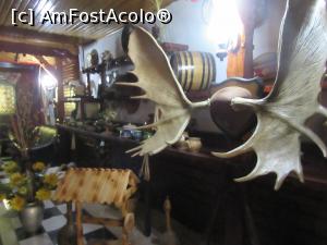 [P05] La grămadă, să fie, să se găsească!  » foto by Michi
 - 
<span class="allrVoted glyphicon glyphicon-heart hidden" id="av892910"></span>
<a class="m-l-10 hidden" id="sv892910" onclick="voting_Foto_DelVot(,892910,4083)" role="button">șterge vot <span class="glyphicon glyphicon-remove"></span></a>
<a id="v9892910" class=" c-red"  onclick="voting_Foto_SetVot(892910)" role="button"><span class="glyphicon glyphicon-heart-empty"></span> <b>LIKE</b> = Votează poza</a> <img class="hidden"  id="f892910W9" src="/imagini/loader.gif" border="0" /><span class="AjErrMes hidden" id="e892910ErM"></span>