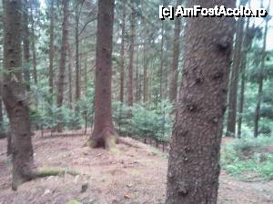 [P07]  -- <small>// FĂRĂ DESCRIERE</small> » foto by diana-camelia*
 - 
<span class="allrVoted glyphicon glyphicon-heart hidden" id="av465008"></span>
<a class="m-l-10 hidden" id="sv465008" onclick="voting_Foto_DelVot(,465008,4091)" role="button">șterge vot <span class="glyphicon glyphicon-remove"></span></a>
<a id="v9465008" class=" c-red"  onclick="voting_Foto_SetVot(465008)" role="button"><span class="glyphicon glyphicon-heart-empty"></span> <b>LIKE</b> = Votează poza</a> <img class="hidden"  id="f465008W9" src="/imagini/loader.gif" border="0" /><span class="AjErrMes hidden" id="e465008ErM"></span>