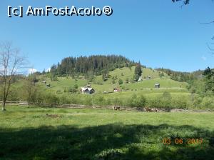 [P14] Peisaj bucovinean pe traseul mocăniței » foto by ANILU
 - 
<span class="allrVoted glyphicon glyphicon-heart hidden" id="av863328"></span>
<a class="m-l-10 hidden" id="sv863328" onclick="voting_Foto_DelVot(,863328,4091)" role="button">șterge vot <span class="glyphicon glyphicon-remove"></span></a>
<a id="v9863328" class=" c-red"  onclick="voting_Foto_SetVot(863328)" role="button"><span class="glyphicon glyphicon-heart-empty"></span> <b>LIKE</b> = Votează poza</a> <img class="hidden"  id="f863328W9" src="/imagini/loader.gif" border="0" /><span class="AjErrMes hidden" id="e863328ErM"></span>