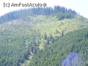 [P33] Obcina Mestecanisului, la intrarea in Carlibaba » foto by liviu49
 - 
<span class="allrVoted glyphicon glyphicon-heart hidden" id="av1035971"></span>
<a class="m-l-10 hidden" id="sv1035971" onclick="voting_Foto_DelVot(,1035971,4091)" role="button">șterge vot <span class="glyphicon glyphicon-remove"></span></a>
<a id="v91035971" class=" c-red"  onclick="voting_Foto_SetVot(1035971)" role="button"><span class="glyphicon glyphicon-heart-empty"></span> <b>LIKE</b> = Votează poza</a> <img class="hidden"  id="f1035971W9" src="/imagini/loader.gif" border="0" /><span class="AjErrMes hidden" id="e1035971ErM"></span>