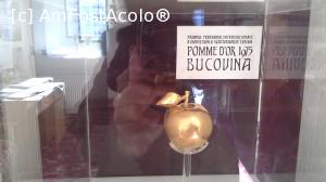 [P11] Trofeul 'Pomme d'or 1975 Bucovina' - acordat mănăstirilor cu păictură exterioară » foto by gettyy
 - 
<span class="allrVoted glyphicon glyphicon-heart hidden" id="av706855"></span>
<a class="m-l-10 hidden" id="sv706855" onclick="voting_Foto_DelVot(,706855,4091)" role="button">șterge vot <span class="glyphicon glyphicon-remove"></span></a>
<a id="v9706855" class=" c-red"  onclick="voting_Foto_SetVot(706855)" role="button"><span class="glyphicon glyphicon-heart-empty"></span> <b>LIKE</b> = Votează poza</a> <img class="hidden"  id="f706855W9" src="/imagini/loader.gif" border="0" /><span class="AjErrMes hidden" id="e706855ErM"></span>