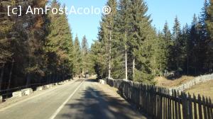 [P17] Aspect de vară în drumul spre Ciumârna » foto by gettyy
 - 
<span class="allrVoted glyphicon glyphicon-heart hidden" id="av706861"></span>
<a class="m-l-10 hidden" id="sv706861" onclick="voting_Foto_DelVot(,706861,4091)" role="button">șterge vot <span class="glyphicon glyphicon-remove"></span></a>
<a id="v9706861" class=" c-red"  onclick="voting_Foto_SetVot(706861)" role="button"><span class="glyphicon glyphicon-heart-empty"></span> <b>LIKE</b> = Votează poza</a> <img class="hidden"  id="f706861W9" src="/imagini/loader.gif" border="0" /><span class="AjErrMes hidden" id="e706861ErM"></span>