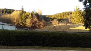 [P45] Peisaj în apropierea Mănăstirii Putna » foto by gettyy
 - 
<span class="allrVoted glyphicon glyphicon-heart hidden" id="av706889"></span>
<a class="m-l-10 hidden" id="sv706889" onclick="voting_Foto_DelVot(,706889,4091)" role="button">șterge vot <span class="glyphicon glyphicon-remove"></span></a>
<a id="v9706889" class=" c-red"  onclick="voting_Foto_SetVot(706889)" role="button"><span class="glyphicon glyphicon-heart-empty"></span> <b>LIKE</b> = Votează poza</a> <img class="hidden"  id="f706889W9" src="/imagini/loader.gif" border="0" /><span class="AjErrMes hidden" id="e706889ErM"></span>