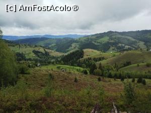 [P40] Bucovina » foto by Marius 72
 - 
<span class="allrVoted glyphicon glyphicon-heart hidden" id="av1494987"></span>
<a class="m-l-10 hidden" id="sv1494987" onclick="voting_Foto_DelVot(,1494987,4091)" role="button">șterge vot <span class="glyphicon glyphicon-remove"></span></a>
<a id="v91494987" class=" c-red"  onclick="voting_Foto_SetVot(1494987)" role="button"><span class="glyphicon glyphicon-heart-empty"></span> <b>LIKE</b> = Votează poza</a> <img class="hidden"  id="f1494987W9" src="/imagini/loader.gif" border="0" /><span class="AjErrMes hidden" id="e1494987ErM"></span>