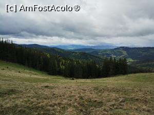 [P47] Primăvara în Bucovina » foto by Marius 72
 - 
<span class="allrVoted glyphicon glyphicon-heart hidden" id="av1494994"></span>
<a class="m-l-10 hidden" id="sv1494994" onclick="voting_Foto_DelVot(,1494994,4091)" role="button">șterge vot <span class="glyphicon glyphicon-remove"></span></a>
<a id="v91494994" class=" c-red"  onclick="voting_Foto_SetVot(1494994)" role="button"><span class="glyphicon glyphicon-heart-empty"></span> <b>LIKE</b> = Votează poza</a> <img class="hidden"  id="f1494994W9" src="/imagini/loader.gif" border="0" /><span class="AjErrMes hidden" id="e1494994ErM"></span>
