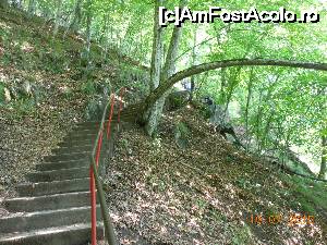 [P17] Cetatea Poienari - Frumusețea naturii, răsplată pentru efort.  » foto by iulianic
 - 
<span class="allrVoted glyphicon glyphicon-heart hidden" id="av694973"></span>
<a class="m-l-10 hidden" id="sv694973" onclick="voting_Foto_DelVot(,694973,4095)" role="button">șterge vot <span class="glyphicon glyphicon-remove"></span></a>
<a id="v9694973" class=" c-red"  onclick="voting_Foto_SetVot(694973)" role="button"><span class="glyphicon glyphicon-heart-empty"></span> <b>LIKE</b> = Votează poza</a> <img class="hidden"  id="f694973W9" src="/imagini/loader.gif" border="0" /><span class="AjErrMes hidden" id="e694973ErM"></span>