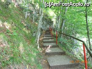 [P19] Cetatea Poienari - Oare cât mai avem de urcat?  » foto by iulianic
 - 
<span class="allrVoted glyphicon glyphicon-heart hidden" id="av694975"></span>
<a class="m-l-10 hidden" id="sv694975" onclick="voting_Foto_DelVot(,694975,4095)" role="button">șterge vot <span class="glyphicon glyphicon-remove"></span></a>
<a id="v9694975" class=" c-red"  onclick="voting_Foto_SetVot(694975)" role="button"><span class="glyphicon glyphicon-heart-empty"></span> <b>LIKE</b> = Votează poza</a> <img class="hidden"  id="f694975W9" src="/imagini/loader.gif" border="0" /><span class="AjErrMes hidden" id="e694975ErM"></span>