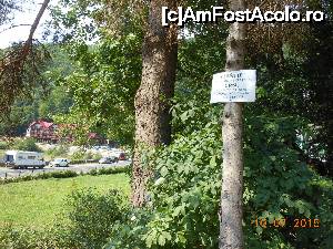 [P05] Cetatea Poienari - Aflăm că zona este frecventată de urși.  » foto by iulianic
 - 
<span class="allrVoted glyphicon glyphicon-heart hidden" id="av694961"></span>
<a class="m-l-10 hidden" id="sv694961" onclick="voting_Foto_DelVot(,694961,4095)" role="button">șterge vot <span class="glyphicon glyphicon-remove"></span></a>
<a id="v9694961" class=" c-red"  onclick="voting_Foto_SetVot(694961)" role="button"><span class="glyphicon glyphicon-heart-empty"></span> <b>LIKE</b> = Votează poza</a> <img class="hidden"  id="f694961W9" src="/imagini/loader.gif" border="0" /><span class="AjErrMes hidden" id="e694961ErM"></span>