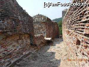 [P50] Cetatea Poienari - Printre zidurile medievale.  » foto by iulianic
 - 
<span class="allrVoted glyphicon glyphicon-heart hidden" id="av695006"></span>
<a class="m-l-10 hidden" id="sv695006" onclick="voting_Foto_DelVot(,695006,4095)" role="button">șterge vot <span class="glyphicon glyphicon-remove"></span></a>
<a id="v9695006" class=" c-red"  onclick="voting_Foto_SetVot(695006)" role="button"><span class="glyphicon glyphicon-heart-empty"></span> <b>LIKE</b> = Votează poza</a> <img class="hidden"  id="f695006W9" src="/imagini/loader.gif" border="0" /><span class="AjErrMes hidden" id="e695006ErM"></span>