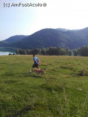 [P63] Amintiri: cu Terry terrierul pe pajiștea de la lac înaintea noilor amenajări » foto by Carmen Ion
 - 
<span class="allrVoted glyphicon glyphicon-heart hidden" id="av1174034"></span>
<a class="m-l-10 hidden" id="sv1174034" onclick="voting_Foto_DelVot(,1174034,4099)" role="button">șterge vot <span class="glyphicon glyphicon-remove"></span></a>
<a id="v91174034" class=" c-red"  onclick="voting_Foto_SetVot(1174034)" role="button"><span class="glyphicon glyphicon-heart-empty"></span> <b>LIKE</b> = Votează poza</a> <img class="hidden"  id="f1174034W9" src="/imagini/loader.gif" border="0" /><span class="AjErrMes hidden" id="e1174034ErM"></span>