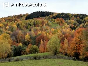 [P02] De la Comarnic la Valea Doftanei prin Secăria » foto by Mika
 - 
<span class="allrVoted glyphicon glyphicon-heart hidden" id="av1201883"></span>
<a class="m-l-10 hidden" id="sv1201883" onclick="voting_Foto_DelVot(,1201883,4099)" role="button">șterge vot <span class="glyphicon glyphicon-remove"></span></a>
<a id="v91201883" class=" c-red"  onclick="voting_Foto_SetVot(1201883)" role="button"><span class="glyphicon glyphicon-heart-empty"></span> <b>LIKE</b> = Votează poza</a> <img class="hidden"  id="f1201883W9" src="/imagini/loader.gif" border="0" /><span class="AjErrMes hidden" id="e1201883ErM"></span>