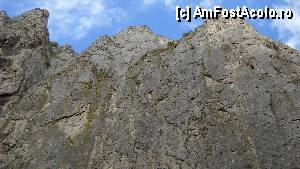 [P12]  -- <small>// FĂRĂ DESCRIERE</small> » foto by Remicade
 - 
<span class="allrVoted glyphicon glyphicon-heart hidden" id="av344715"></span>
<a class="m-l-10 hidden" id="sv344715" onclick="voting_Foto_DelVot(,344715,4100)" role="button">șterge vot <span class="glyphicon glyphicon-remove"></span></a>
<a id="v9344715" class=" c-red"  onclick="voting_Foto_SetVot(344715)" role="button"><span class="glyphicon glyphicon-heart-empty"></span> <b>LIKE</b> = Votează poza</a> <img class="hidden"  id="f344715W9" src="/imagini/loader.gif" border="0" /><span class="AjErrMes hidden" id="e344715ErM"></span>