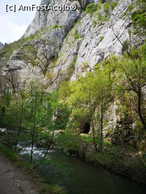 [P03]  -- <small>// FĂRĂ DESCRIERE</small> » foto by felixtm
 - 
<span class="allrVoted glyphicon glyphicon-heart hidden" id="av1066421"></span>
<a class="m-l-10 hidden" id="sv1066421" onclick="voting_Foto_DelVot(,1066421,4100)" role="button">șterge vot <span class="glyphicon glyphicon-remove"></span></a>
<a id="v91066421" class=" c-red"  onclick="voting_Foto_SetVot(1066421)" role="button"><span class="glyphicon glyphicon-heart-empty"></span> <b>LIKE</b> = Votează poza</a> <img class="hidden"  id="f1066421W9" src="/imagini/loader.gif" border="0" /><span class="AjErrMes hidden" id="e1066421ErM"></span>