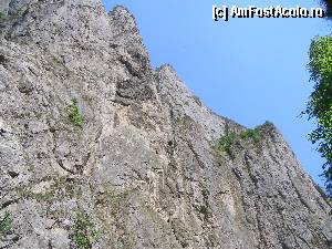 [P35] Cheile Turzii - Escalada pe Stanca Taiata » foto by RoF*
 - 
<span class="allrVoted glyphicon glyphicon-heart hidden" id="av378732"></span>
<a class="m-l-10 hidden" id="sv378732" onclick="voting_Foto_DelVot(,378732,4100)" role="button">șterge vot <span class="glyphicon glyphicon-remove"></span></a>
<a id="v9378732" class=" c-red"  onclick="voting_Foto_SetVot(378732)" role="button"><span class="glyphicon glyphicon-heart-empty"></span> <b>LIKE</b> = Votează poza</a> <img class="hidden"  id="f378732W9" src="/imagini/loader.gif" border="0" /><span class="AjErrMes hidden" id="e378732ErM"></span>
