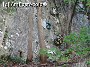 [P31] La pas prin Cheile Turzii. Aici un alpinist de numai 23 de ani si-a pierdut viata cazand din inalturi.  » foto by vega06
 - 
<span class="allrVoted glyphicon glyphicon-heart hidden" id="av739520"></span>
<a class="m-l-10 hidden" id="sv739520" onclick="voting_Foto_DelVot(,739520,4100)" role="button">șterge vot <span class="glyphicon glyphicon-remove"></span></a>
<a id="v9739520" class=" c-red"  onclick="voting_Foto_SetVot(739520)" role="button"><span class="glyphicon glyphicon-heart-empty"></span> <b>LIKE</b> = Votează poza</a> <img class="hidden"  id="f739520W9" src="/imagini/loader.gif" border="0" /><span class="AjErrMes hidden" id="e739520ErM"></span>