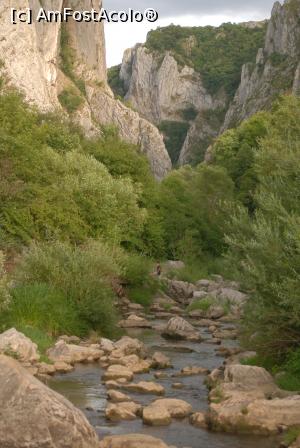 [P04] Valea Hasdate, raul care a strapuns muntii » foto by Maya_C
 - 
<span class="allrVoted glyphicon glyphicon-heart hidden" id="av715622"></span>
<a class="m-l-10 hidden" id="sv715622" onclick="voting_Foto_DelVot(,715622,4100)" role="button">șterge vot <span class="glyphicon glyphicon-remove"></span></a>
<a id="v9715622" class=" c-red"  onclick="voting_Foto_SetVot(715622)" role="button"><span class="glyphicon glyphicon-heart-empty"></span> <b>LIKE</b> = Votează poza</a> <img class="hidden"  id="f715622W9" src="/imagini/loader.gif" border="0" /><span class="AjErrMes hidden" id="e715622ErM"></span>