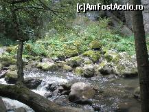 [P15] Pietrele sunt acoperite de un strat de muschi » foto by dorgo
 - 
<span class="allrVoted glyphicon glyphicon-heart hidden" id="av162569"></span>
<a class="m-l-10 hidden" id="sv162569" onclick="voting_Foto_DelVot(,162569,4100)" role="button">șterge vot <span class="glyphicon glyphicon-remove"></span></a>
<a id="v9162569" class=" c-red"  onclick="voting_Foto_SetVot(162569)" role="button"><span class="glyphicon glyphicon-heart-empty"></span> <b>LIKE</b> = Votează poza</a> <img class="hidden"  id="f162569W9" src="/imagini/loader.gif" border="0" /><span class="AjErrMes hidden" id="e162569ErM"></span>