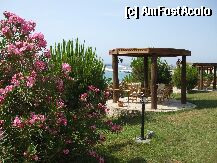 [P11] Gradina hotelului  » foto by lilacrocodila
 - 
<span class="allrVoted glyphicon glyphicon-heart hidden" id="av8852"></span>
<a class="m-l-10 hidden" id="sv8852" onclick="voting_Foto_DelVot(,8852,4114)" role="button">șterge vot <span class="glyphicon glyphicon-remove"></span></a>
<a id="v98852" class=" c-red"  onclick="voting_Foto_SetVot(8852)" role="button"><span class="glyphicon glyphicon-heart-empty"></span> <b>LIKE</b> = Votează poza</a> <img class="hidden"  id="f8852W9" src="/imagini/loader.gif" border="0" /><span class="AjErrMes hidden" id="e8852ErM"></span>