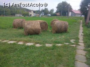 [P02] Gâlgău, Sălaj » foto by Mioritik
 - 
<span class="allrVoted glyphicon glyphicon-heart hidden" id="av1248038"></span>
<a class="m-l-10 hidden" id="sv1248038" onclick="voting_Foto_DelVot(,1248038,4145)" role="button">șterge vot <span class="glyphicon glyphicon-remove"></span></a>
<a id="v91248038" class=" c-red"  onclick="voting_Foto_SetVot(1248038)" role="button"><span class="glyphicon glyphicon-heart-empty"></span> <b>LIKE</b> = Votează poza</a> <img class="hidden"  id="f1248038W9" src="/imagini/loader.gif" border="0" /><span class="AjErrMes hidden" id="e1248038ErM"></span>