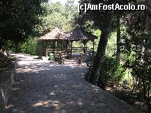 [P21] Gradina zoologica din Salonic » foto by pepsi70ro
 - 
<span class="allrVoted glyphicon glyphicon-heart hidden" id="av25114"></span>
<a class="m-l-10 hidden" id="sv25114" onclick="voting_Foto_DelVot(,25114,4165)" role="button">șterge vot <span class="glyphicon glyphicon-remove"></span></a>
<a id="v925114" class=" c-red"  onclick="voting_Foto_SetVot(25114)" role="button"><span class="glyphicon glyphicon-heart-empty"></span> <b>LIKE</b> = Votează poza</a> <img class="hidden"  id="f25114W9" src="/imagini/loader.gif" border="0" /><span class="AjErrMes hidden" id="e25114ErM"></span>