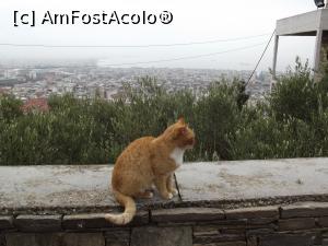 [P18] O vedetă la Mănăstirea Vlatadon şi priveliştea de acolo » foto by irinad
 - 
<span class="allrVoted glyphicon glyphicon-heart hidden" id="av833176"></span>
<a class="m-l-10 hidden" id="sv833176" onclick="voting_Foto_DelVot(,833176,4165)" role="button">șterge vot <span class="glyphicon glyphicon-remove"></span></a>
<a id="v9833176" class=" c-red"  onclick="voting_Foto_SetVot(833176)" role="button"><span class="glyphicon glyphicon-heart-empty"></span> <b>LIKE</b> = Votează poza</a> <img class="hidden"  id="f833176W9" src="/imagini/loader.gif" border="0" /><span class="AjErrMes hidden" id="e833176ErM"></span>